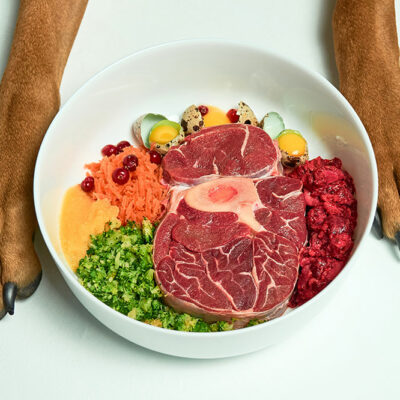 4 DIY Dog Food Recipe Ideas