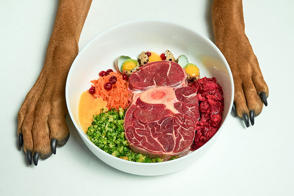 4 DIY Dog Food Recipe Ideas